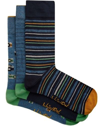 Weird Fish Cullman Branded Embroidered Sock 3 Pack - Blue