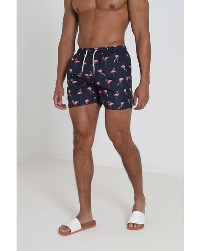 Brave Soul 'valencia' Flamingo Print Swim Shorts - Blue