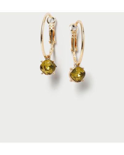 Dorothy Perkins Gem Charm Gold Hoop Earrings - Metallic