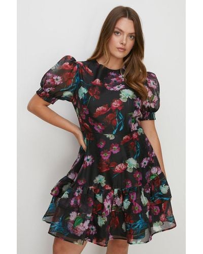 Oasis Plus Size Painted Floral Organza Dress - Black