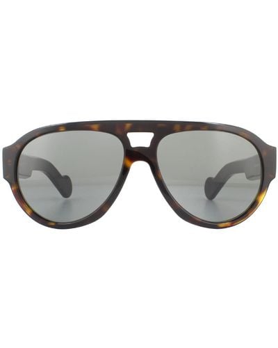 Moncler Aviator Dark Havana Smoke Sunglasses - Grey