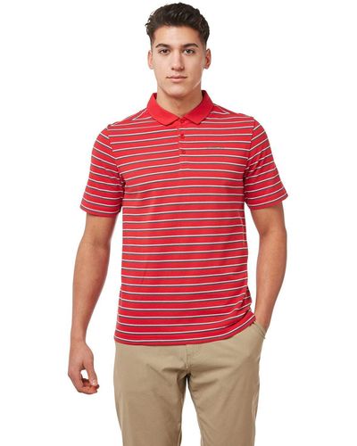 Craghoppers 'raul' Cotton Short Sleeved Polo Shirt - Red
