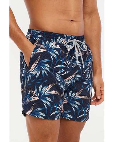 Threadbare 'morro' Palm Print Swim Shorts - Blue