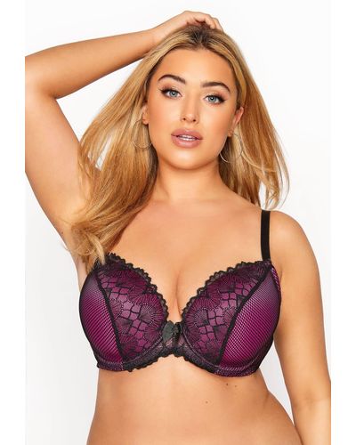 Yours Lace Trim Padded Bra - Purple