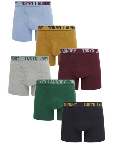 Tokyo Laundry 6-pack Cotton Boxers - Green