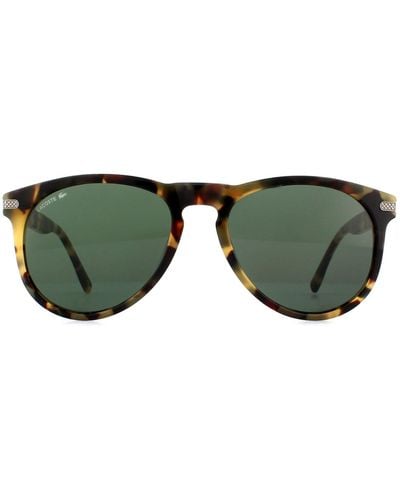 Lacoste Oval Havana Grey Sunglasses - Green