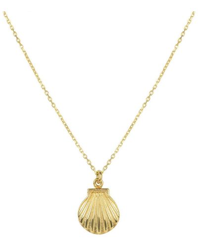 LÁTELITA London Scallop Mini Shell Necklace Gold - Metallic