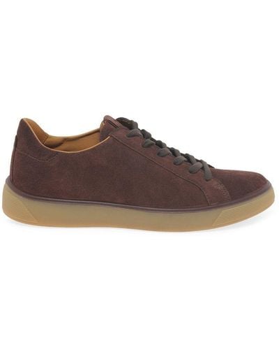 Ecco 'street Tray' Casual Shoes - Brown