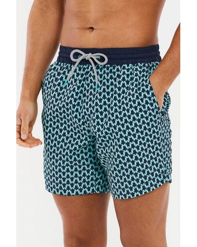 Threadbare 'santos' Geometric Turtle Print Swim Shorts - Blue