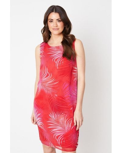 Wallis Tall Palm Print Chiffon Sleeveless Shift Dress - Red