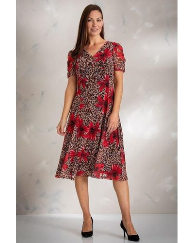 Klass Animal And Floral Print Mesh Midi Dress - Red