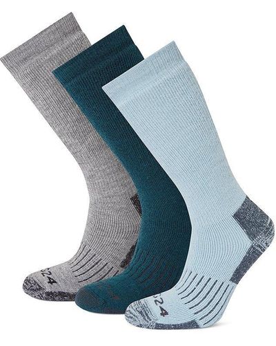 TOG24 'rigton' 3-pack Merino Socks - Blue