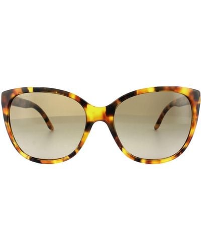 Versace Cat Eye Havana Brown Gradient Sunglasses