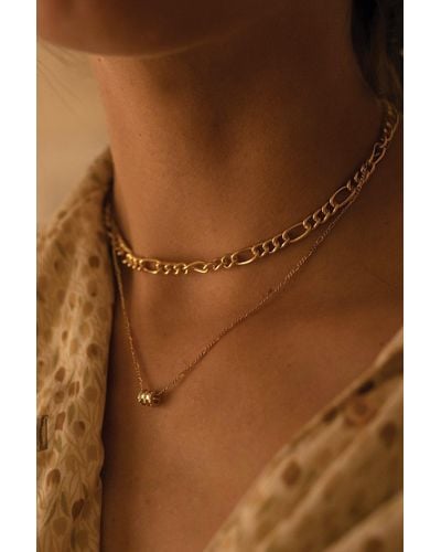 Elk & Bloom Thick 18k Gold Link Chain Necklace - Brown