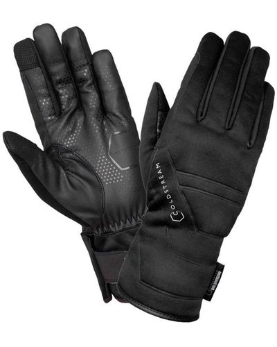 Coldstream Duns Stormguard Winter Gloves - Black