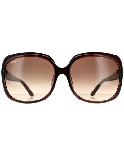 Ferragamo Rectangle Brown Brown Gradient Sunglasses