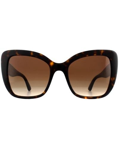 Dolce & Gabbana Cat Eye Havana Brown Gradient Sunglasses