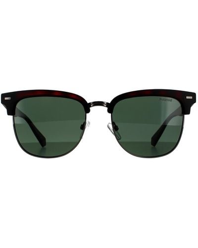Polaroid Square Matte Havana Green Polarized Sunglasses