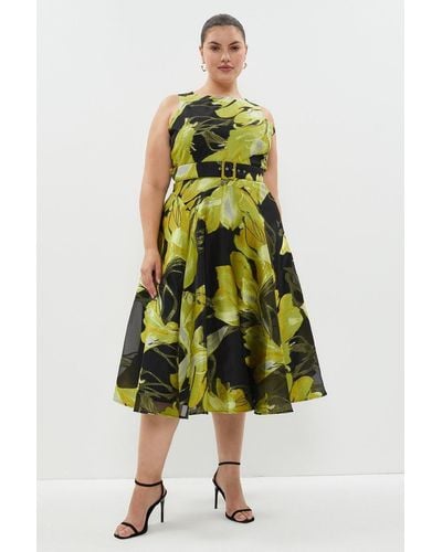 Coast Plus Size Belted Jacquard Fit And Flare Dress - Green