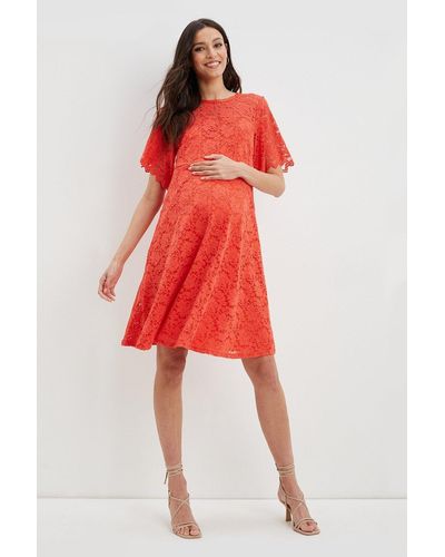 Dorothy Perkins Maternity Angel Sleeve Lace Dress - Red