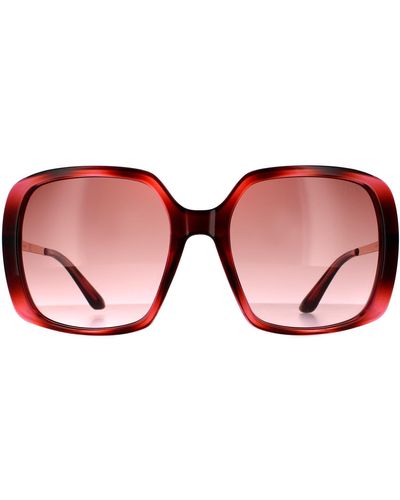 Guess Square Tortoise Pink Pink Gradient Sunglasses