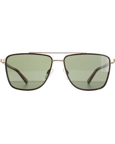 Ted Baker Aviator Tortoise Green Tb1577 Folke Sunglasses - Brown