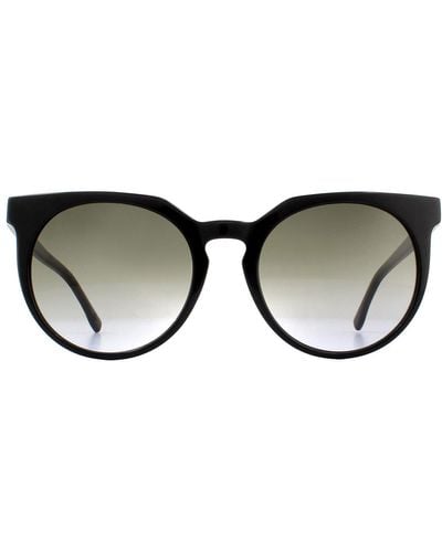 Lacoste Round Black Grey Gradient Sunglasses