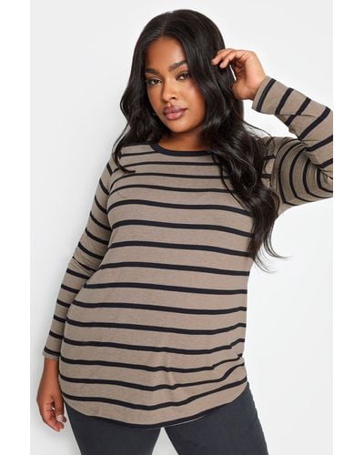 Yours Stripe Long Sleeve Top - Brown