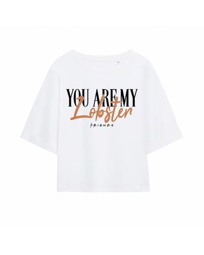 Friends You Are My Lobster Boxy Crop T-shirt - White