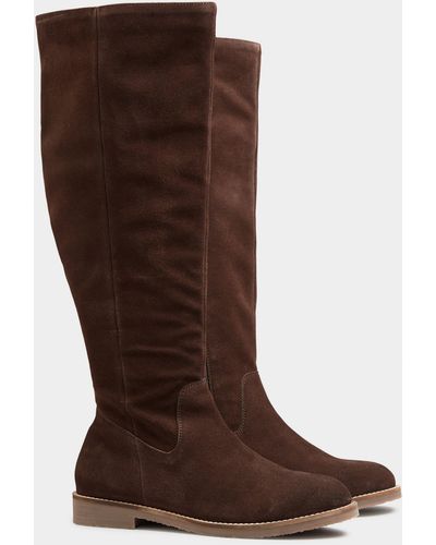 Long Tall Sally Suede Knee High Boots - Brown