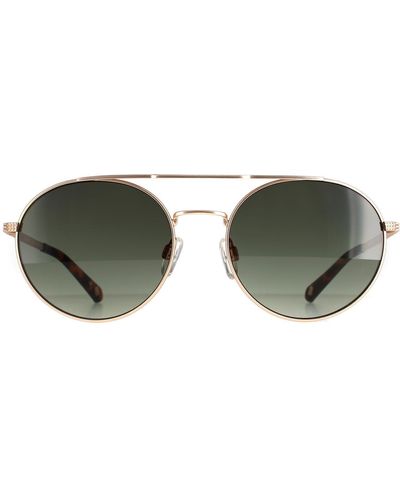 Ted Baker Round Gunmetal Grey Dark Green Gradient Tb1531 Warner Sunglasses - Brown
