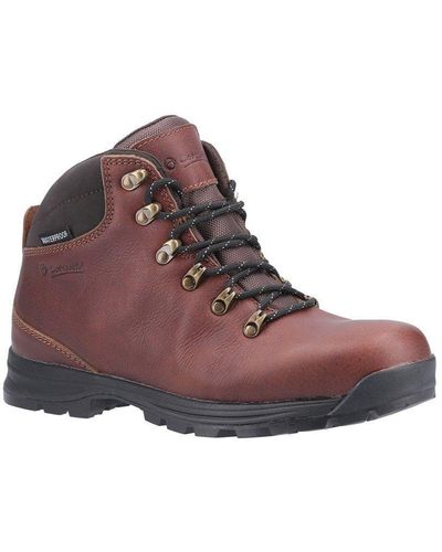 Cotswold 'kingsway' Leather Hiking Boots - Brown