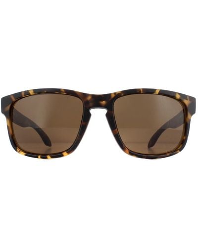 Calvin Klein Rectangle Matte Dark Tortoise Brown Sunglasses
