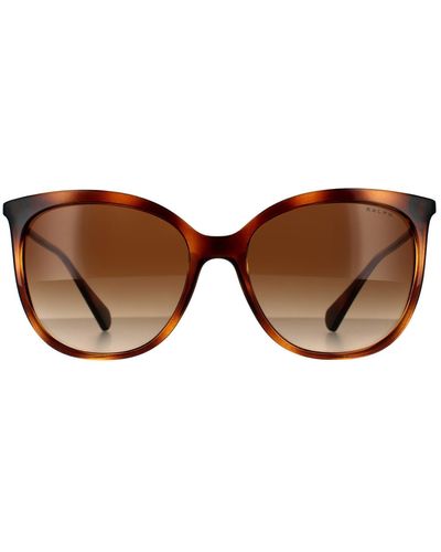 Ralph By Ralph Lauren Fashion Shiny Dark Havana Brown Gradient Sunglasses