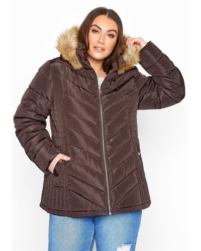Yours Panelled Puffer Coat - Brown