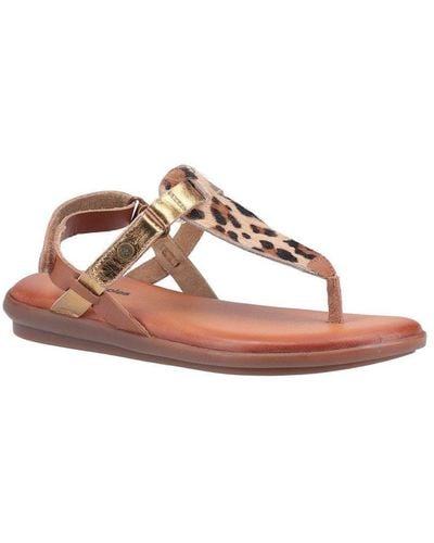 Hush Puppies 'norah' Smooth Leather Toe Post Sandals - Brown