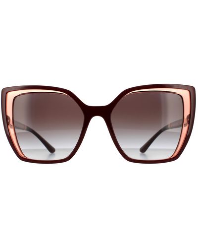 Dolce & Gabbana Square Bordeaux On Transparent Grey Gradient Sunglasses - Brown