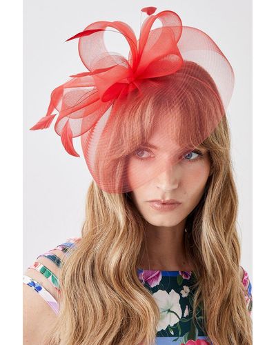 Coast Sheer Mesh Rounded Fascinator - Red