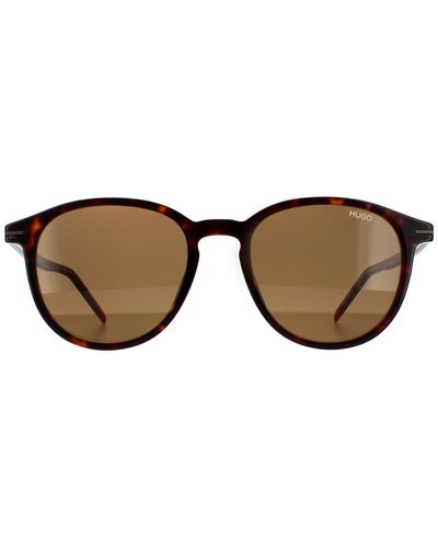 HUGO Round Dark Havana Brown Sunglasses