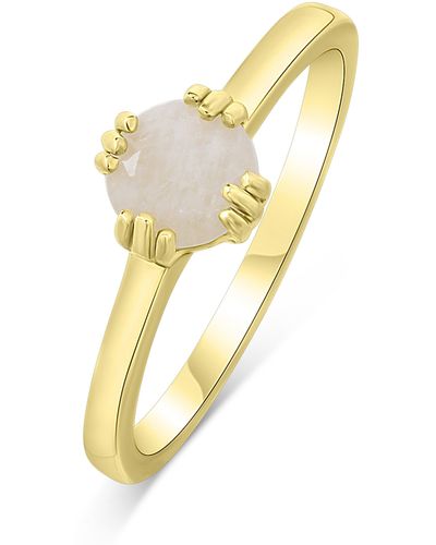 The Fine Collective 18k Gold Plated Rainbow Moonstone Ring - Yellow