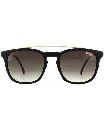 Carrera Round Black Brown Gradient Sunglasses