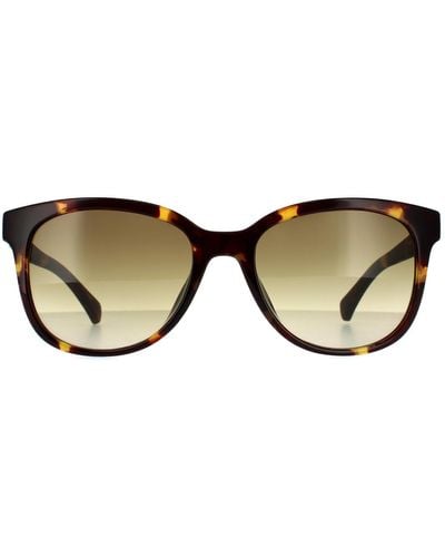 Calvin Klein Round Shiny Tortoise Brown Gradient Sunglasses