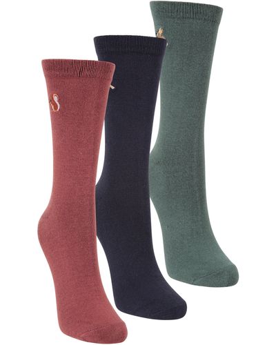 Mountain Warehouse Socks Embroidered Bamboo Casual Sock Pack Of 3 - Blue