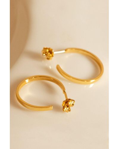 MUCHV Gold Thin Hoop Earrings - Metallic