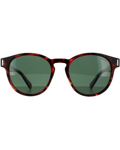 Polaroid Round Dark Havana Green Polarized Sunglasses