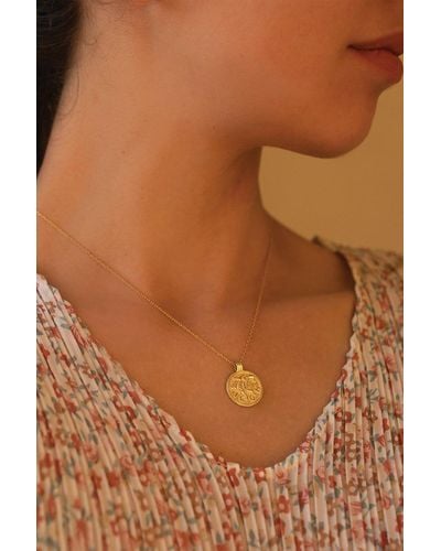 Elk & Bloom Chunky 14k Gold Leo Coin Necklace - Brown