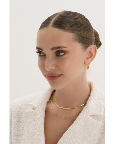 Elk & Bloom Dainty 18k Gold Chain Choker Necklace - Natural
