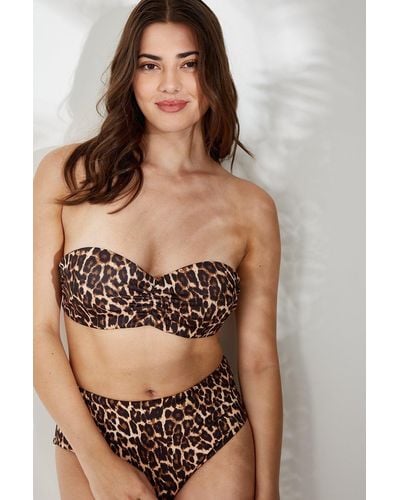 Wallis Leopard High Waist Bikini Bottoms - Brown
