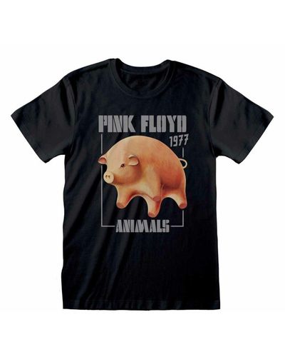 Pink Floyd Animals T-shirt - Black
