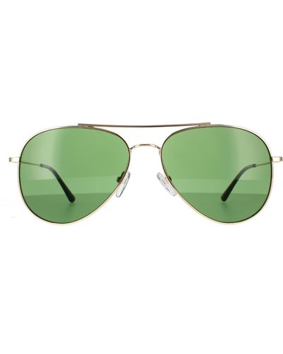 Calvin Klein Aviator Gold Green Solid Bottle Green Sunglasses